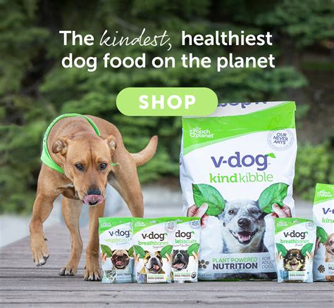 vdog dog food|More.